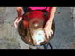 9 and 12 Note Handpans in GOLD | Generation 4s